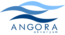 Angora Akvaryum